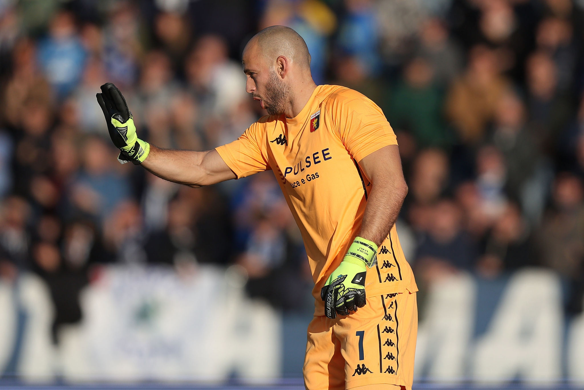 Mercato Genoa: Leali rinnova, Papadopoulos verso Bucarest