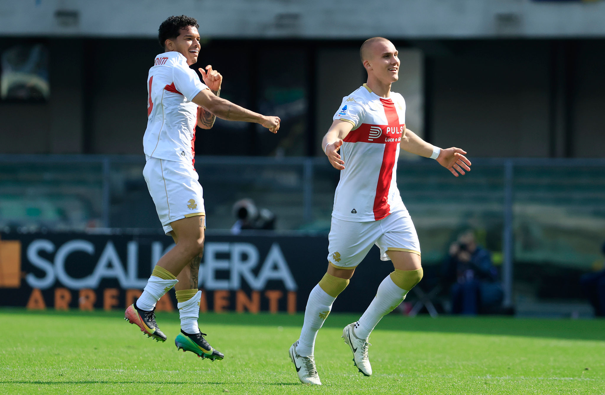 Genoa-Ascoli, Ostigard e Sow verso la convocazione: possibile ingresso nella ripresa